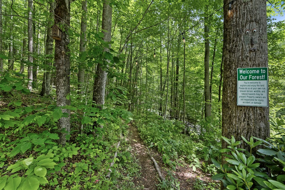 A forest chalet by a mountain creek, Maggie Valley, North Carolina, United States, photo 6 of 10