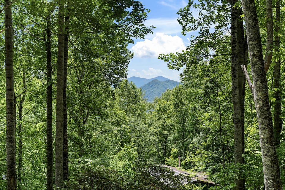 A forest chalet by a mountain creek, Maggie Valley, North Carolina, United States, photo 10 of 10