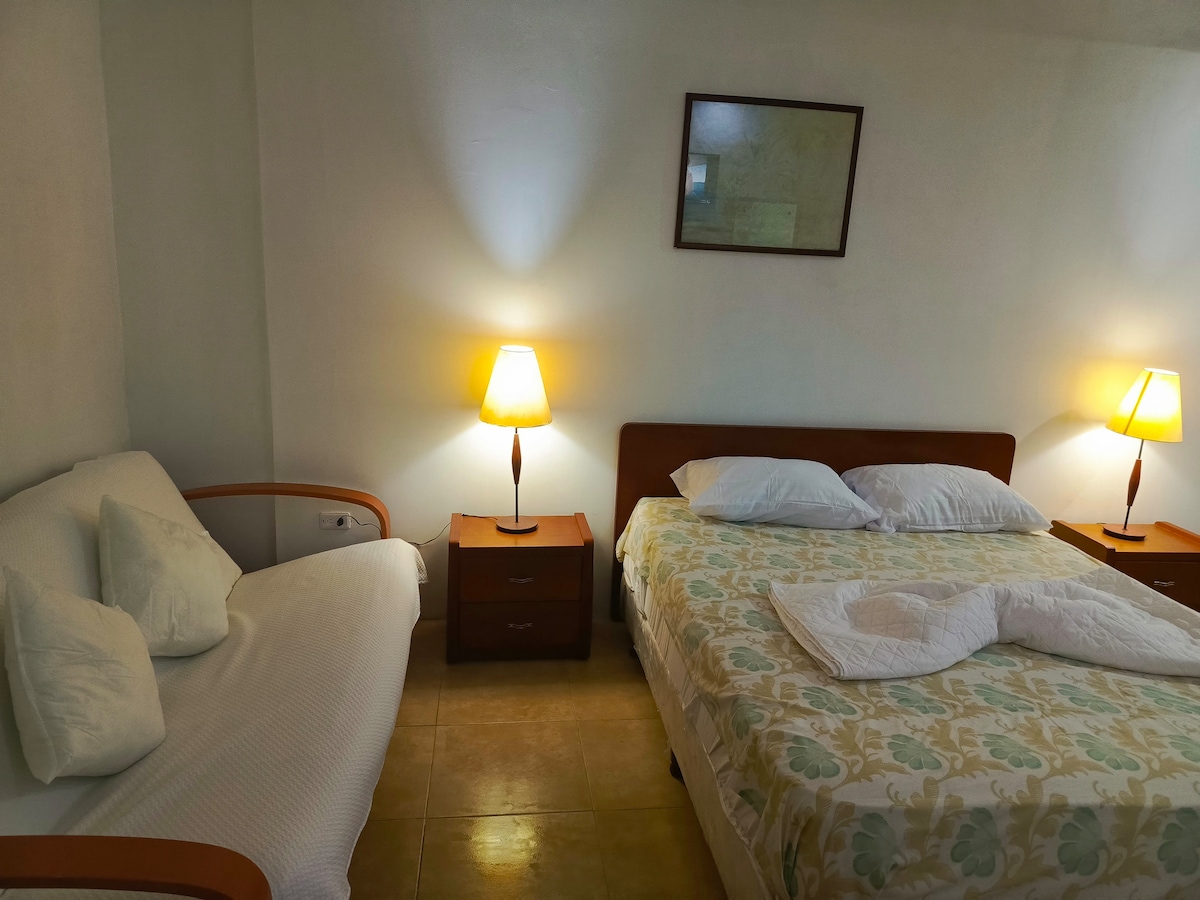 A sleeping area features a spacious bed with soft linens and fluffy pillows, alongside a daybed to accommodate additional guests. Two nightstands are positioned with lamps providing soft lighting. A framed artwork adds a touch of style to the neutral-colored walls.