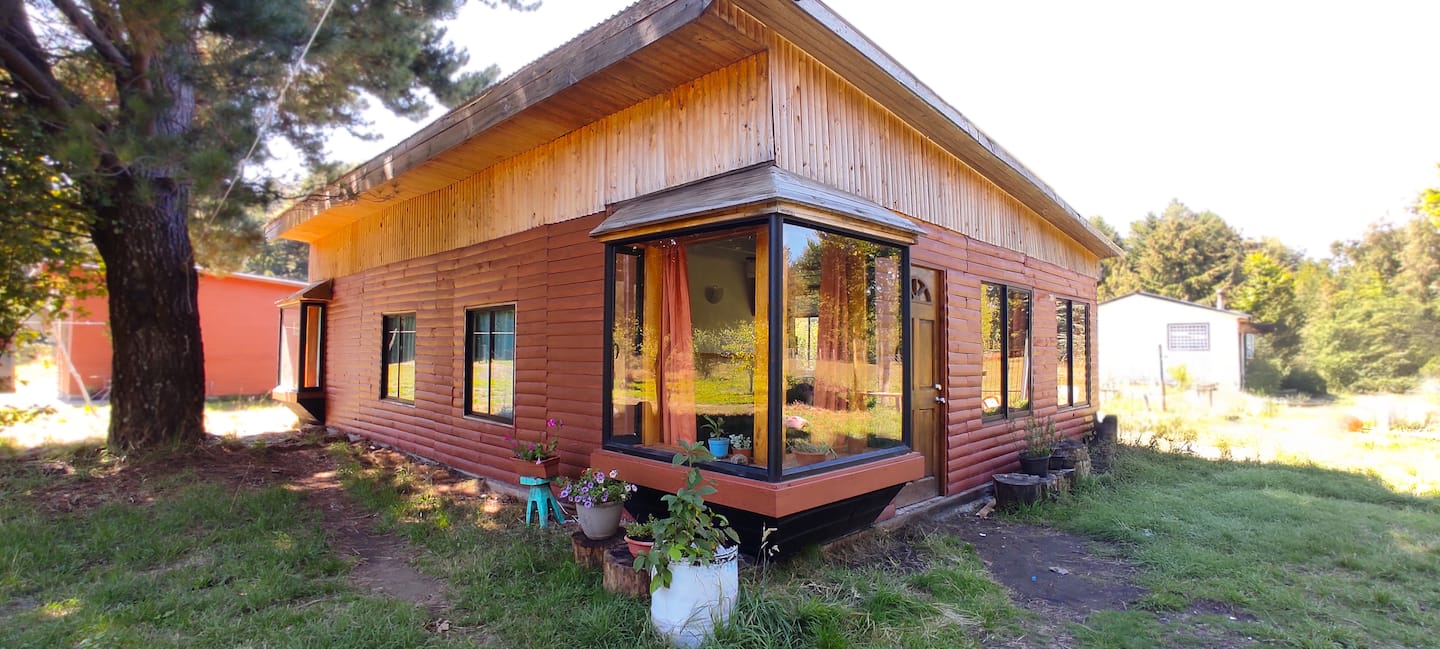 Cabañas Juanita Villarrica - Vista exterior y entorno natural