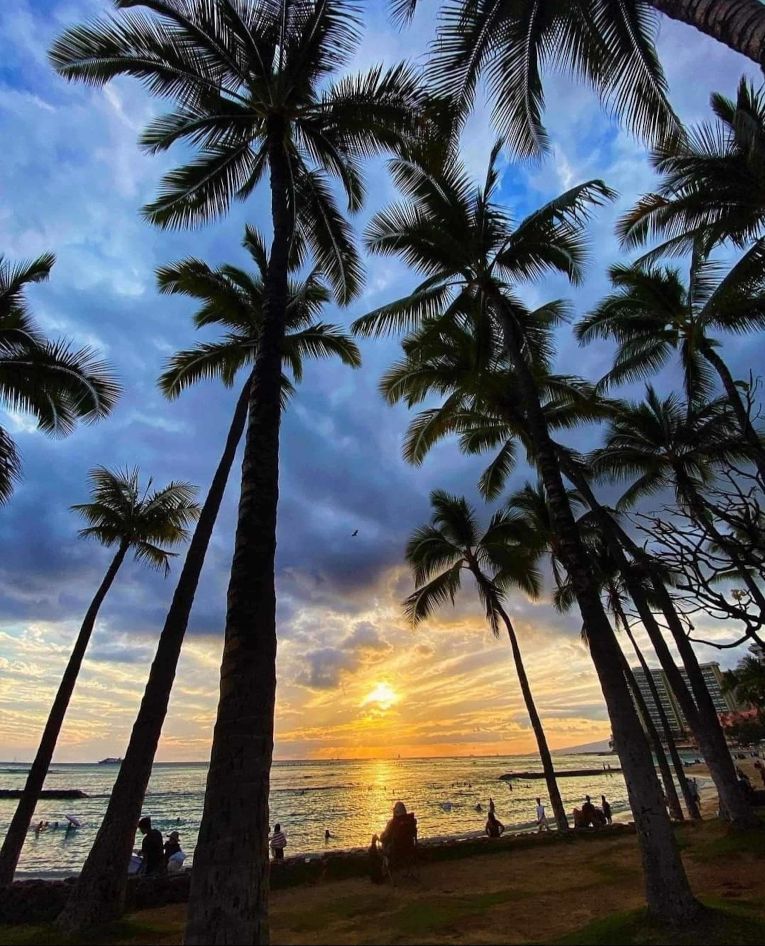 Condo in Honolulu · ★5.0 · 1 bedroom · 2 beds · 1 private bath - Image 44