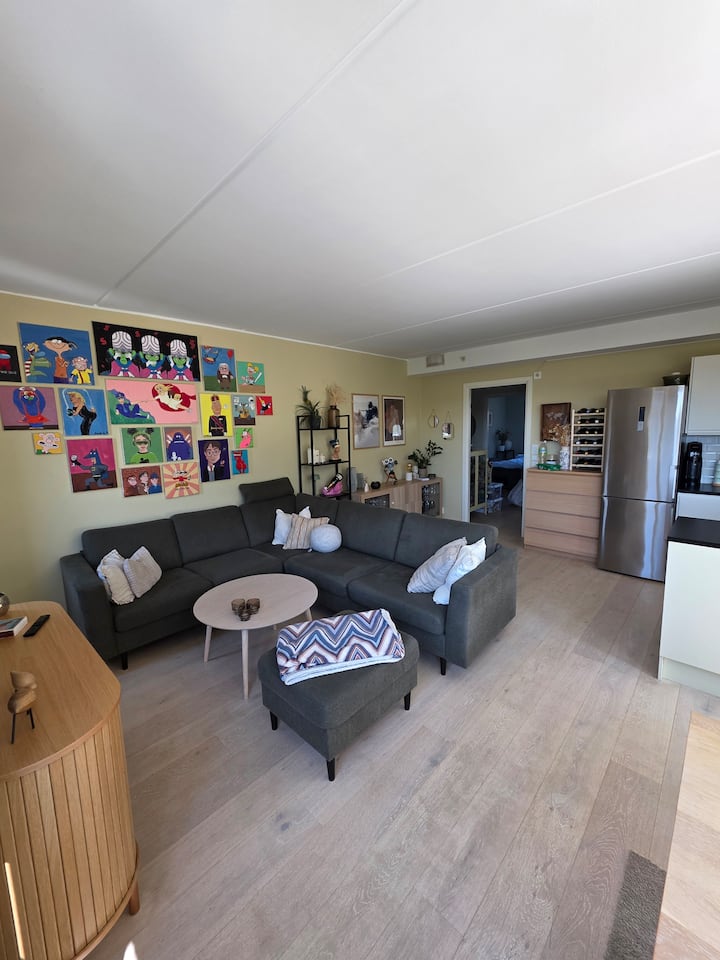 Sentral Toppleilighet Med Privat Takterrasse - Oslo