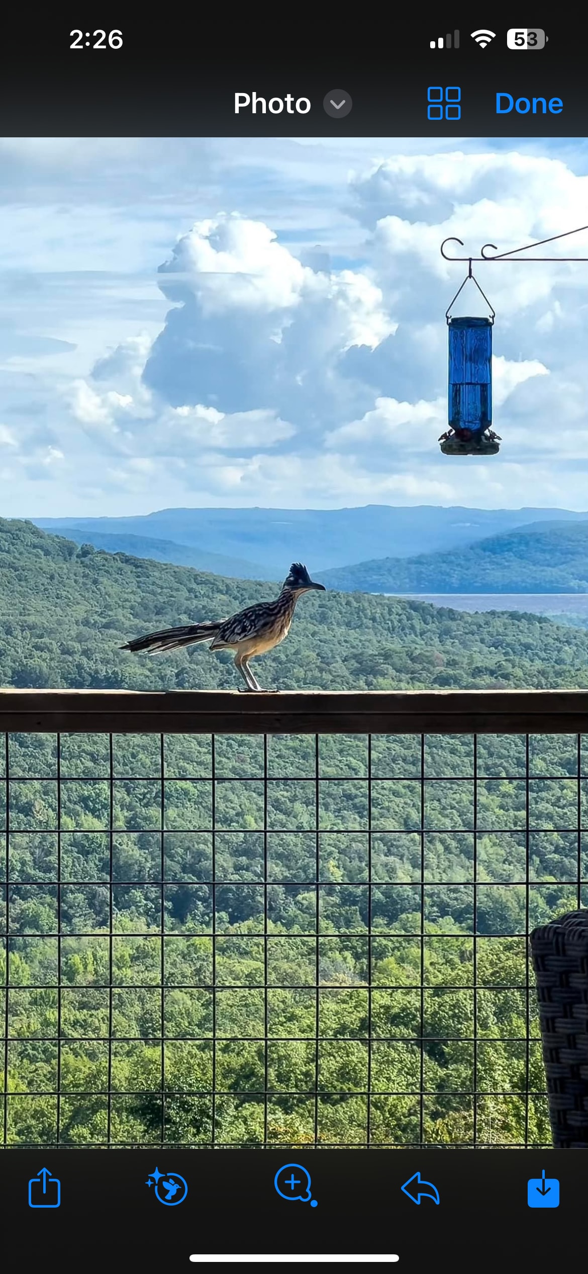 A bird is perched on the railing of a deck, with a view of lush green mountains and a blue sky in the background. A hummingbird feeder hangs above, adding a pop of color to the serene landscape.