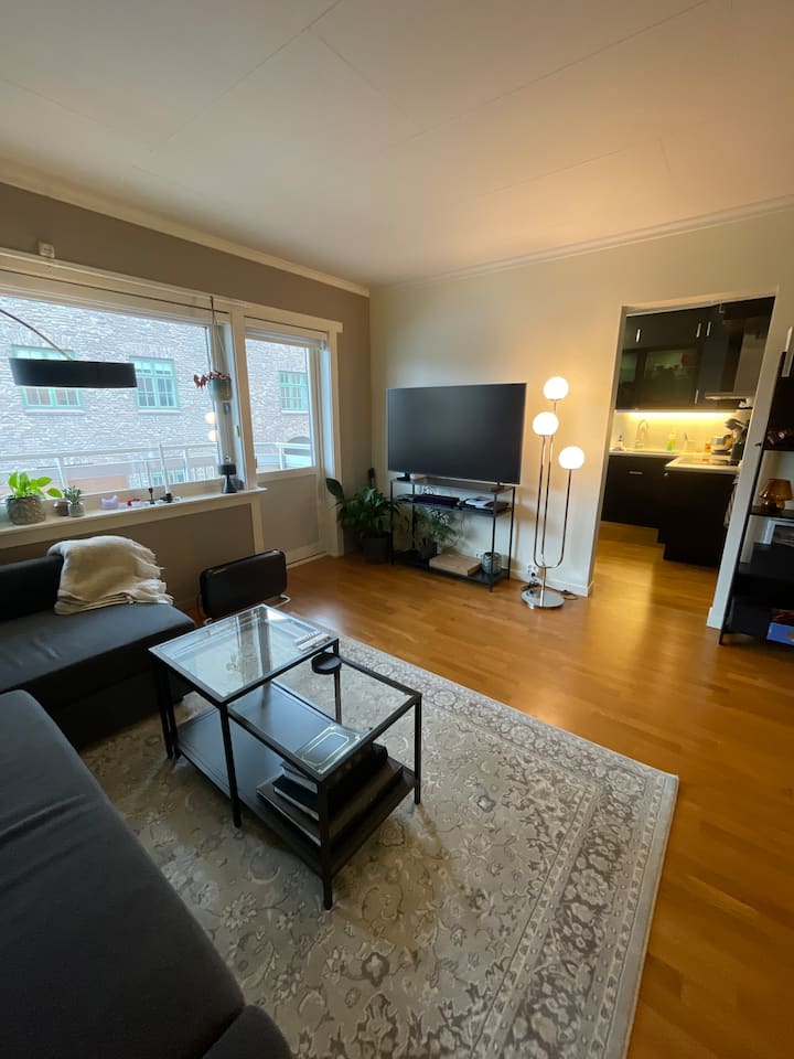 Sentral Og Fin Leilighet - Trondheim