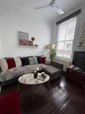 Panoramic Bosphore view rooftop*free airpt pick up