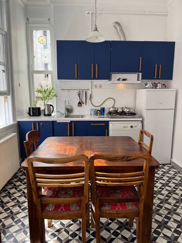 Panoramic Bosphore view rooftop*free airpt pick up gallery image 3