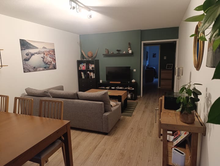 Grand T2 Avec Terrasse Et Jardin - Lyon