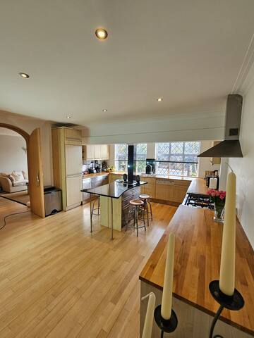 Upscale elegant house Putney gallery image 5