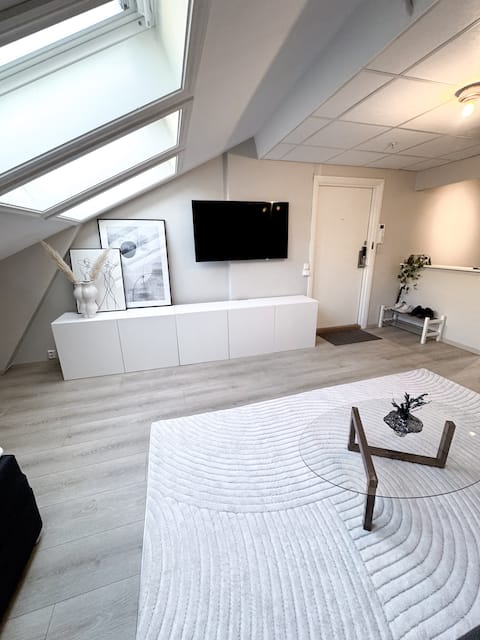 Top Airbnb: Modern and nice apartment in Sentrum