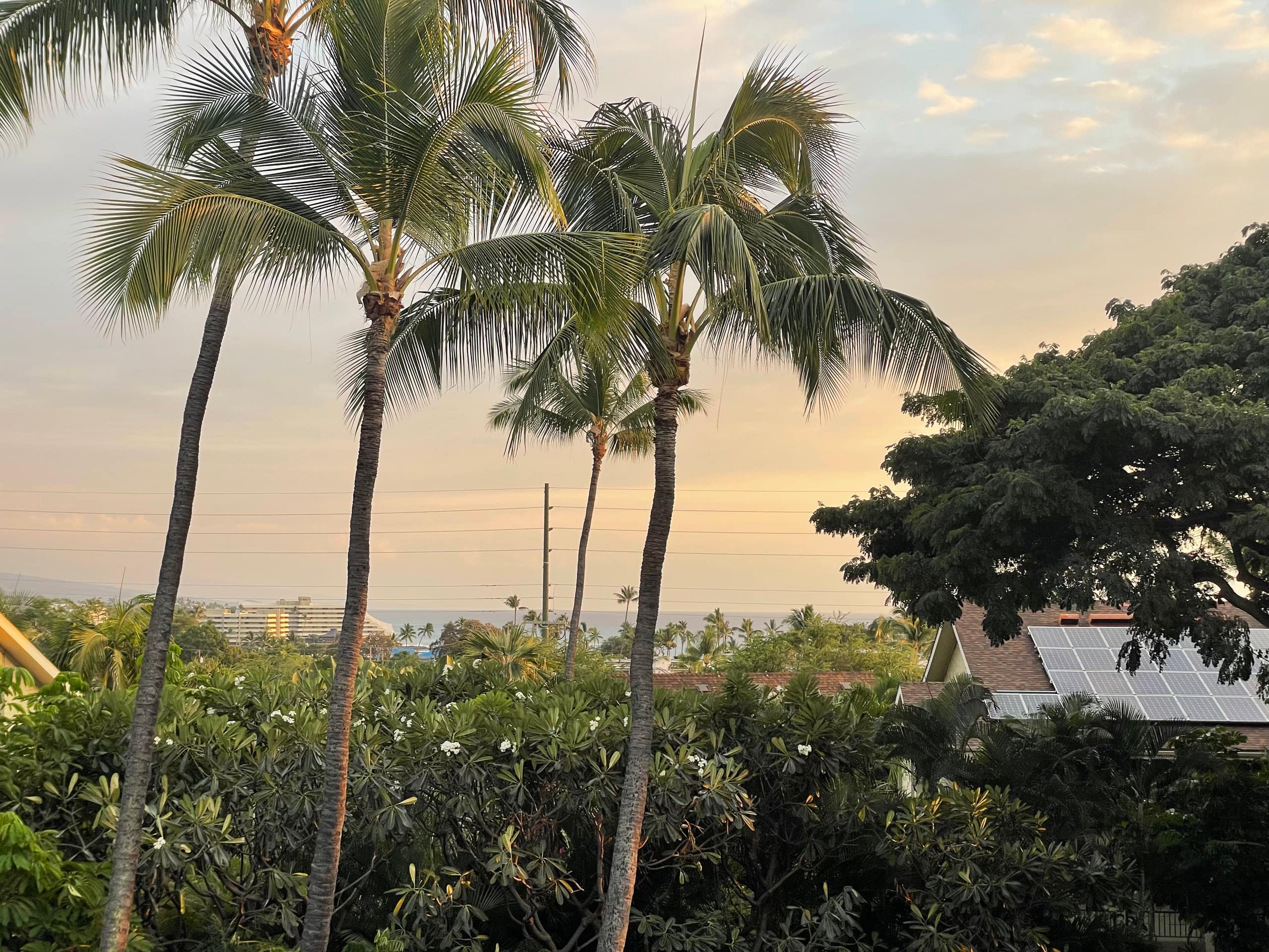 Charming Loft Close To Ocean & Local Eateries! - Photo 85