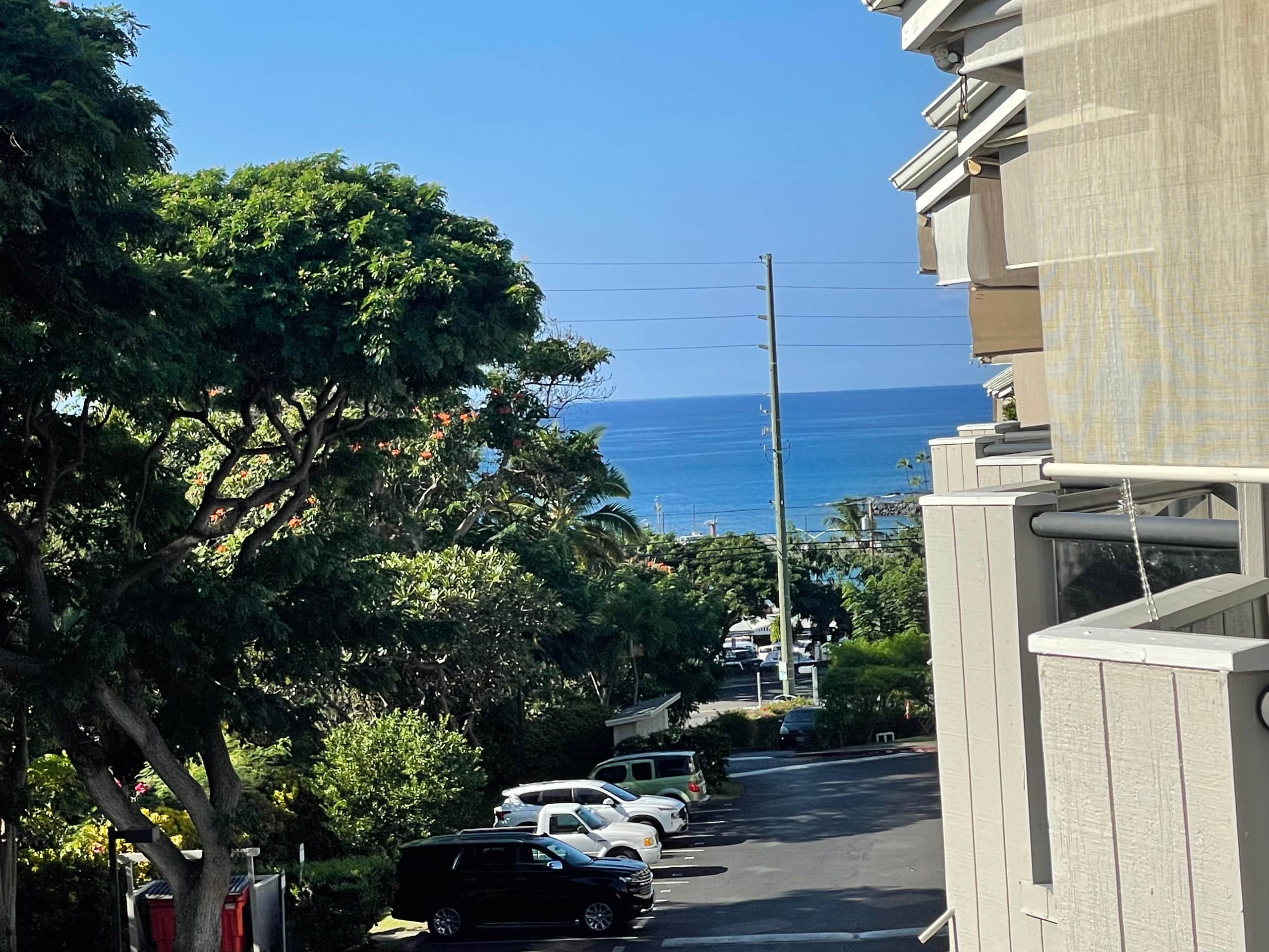 Charming Loft Close To Ocean & Local Eateries! - Photo 83