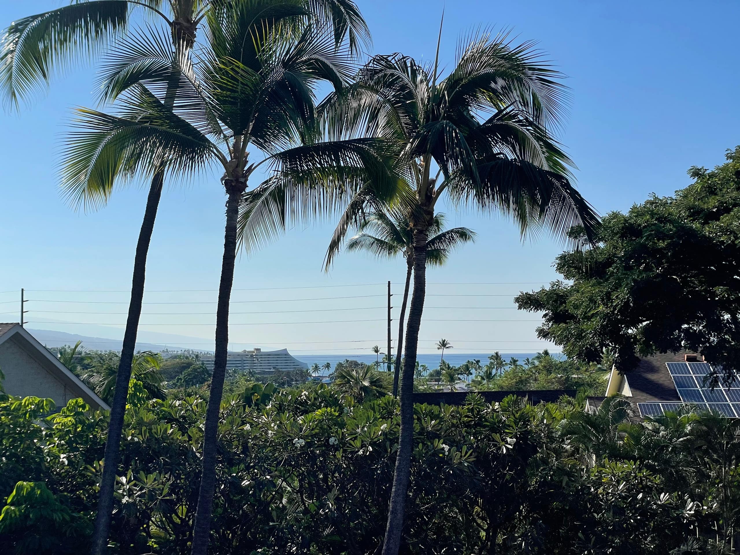 Charming Loft Close To Ocean & Local Eateries! - Photo 86