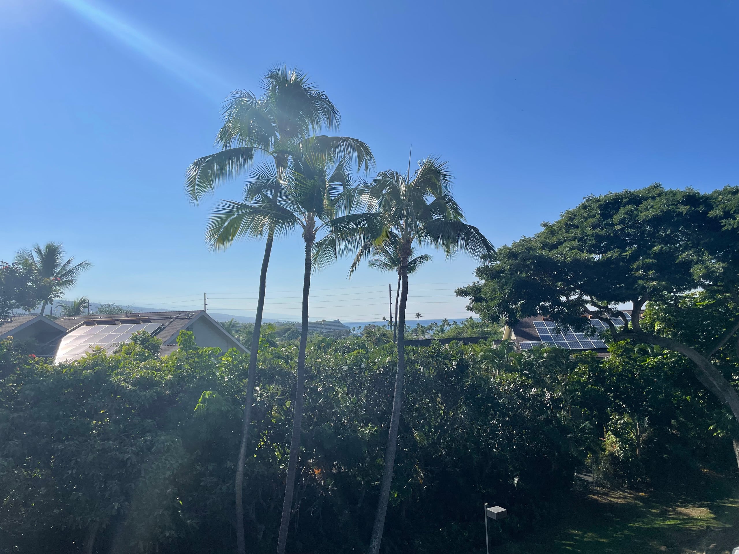 Charming Loft Close To Ocean & Local Eateries! - Photo 84
