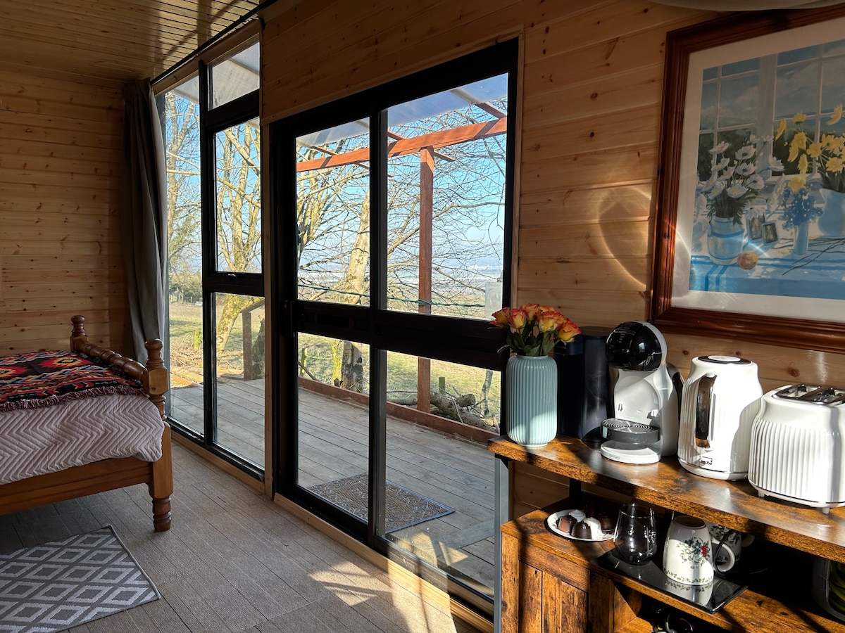 A spacious cabin interior is illuminated by natural light from large glass doors that open to a wooden deck. A cozy bed is positioned nearby, complemented by a decorative wall painting and a wooden console table housing a kettle and coffee machine.