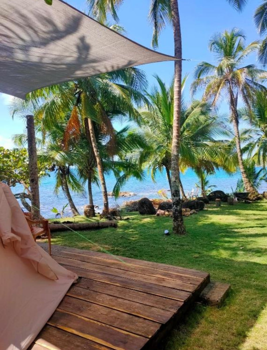 A serene outdoor space is framed by lush palm trees, with a view of the ocean in the background. A wooden deck extends into the green lawn, featuring a tent. Gentle sunlight filters through the leaves, casting soft shadows on the ground.