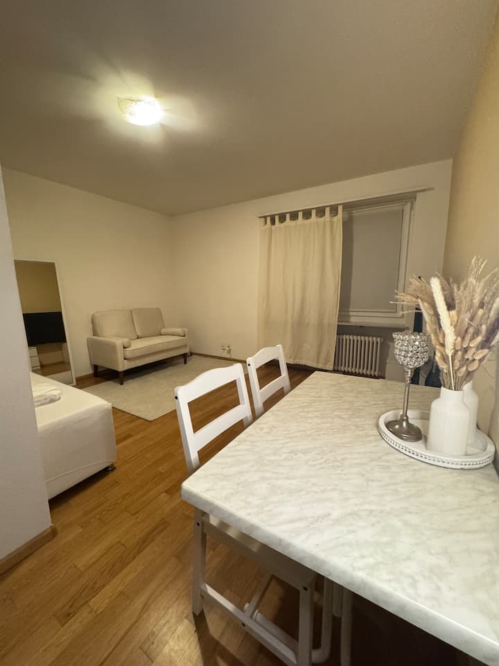 Cozy & Tiny Central Apartement - Basilea