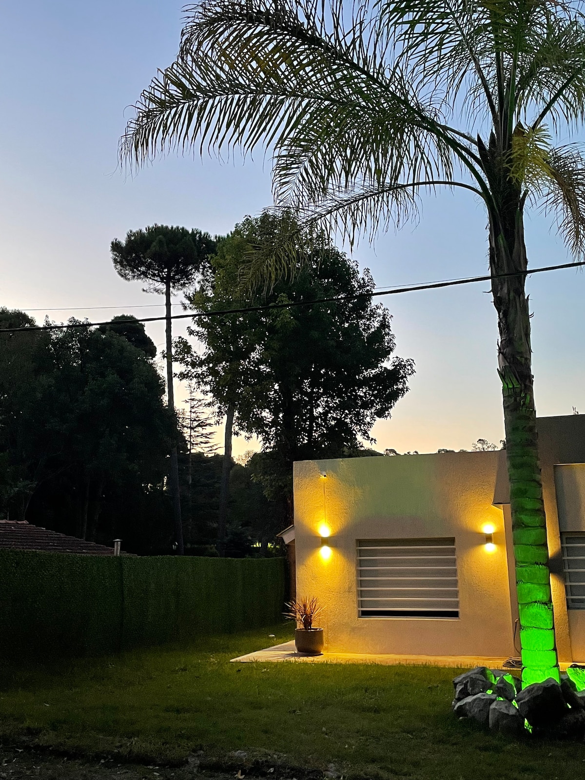 The exterior of a modern building is captured at dusk, featuring soft lighting that highlights the structure's clean lines. A palm tree stands beside the building, surrounded by neatly trimmed grass and a hedge, creating a serene atmosphere within a natural setting.