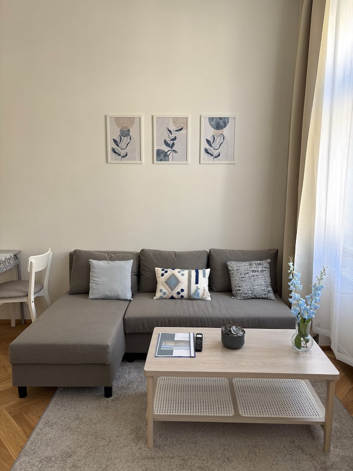 Helle, Saubere Wohnung In Zentraler Lage - Vienna