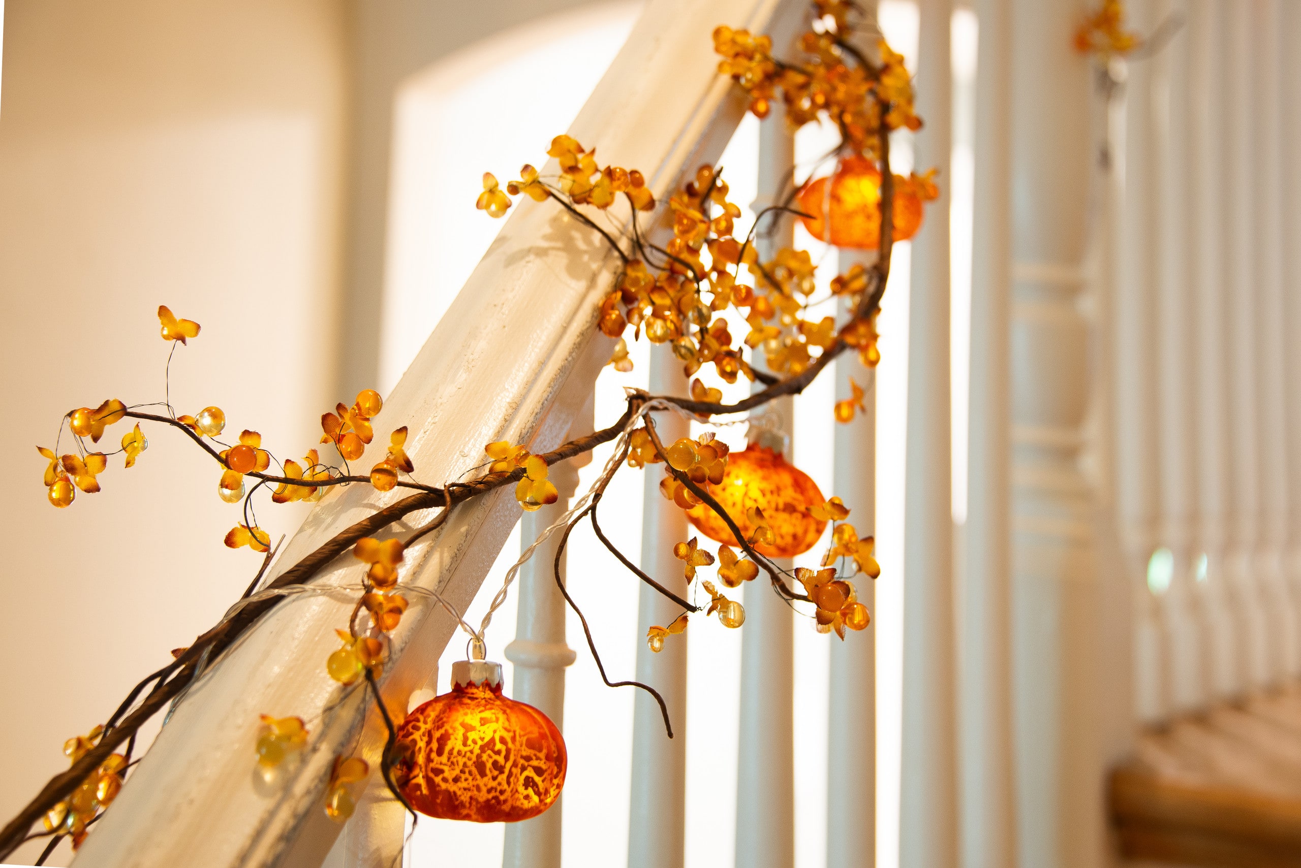 Home in San Francisco · ★4.95 · 2 bedrooms · 2 beds · 2 baths - Image 17