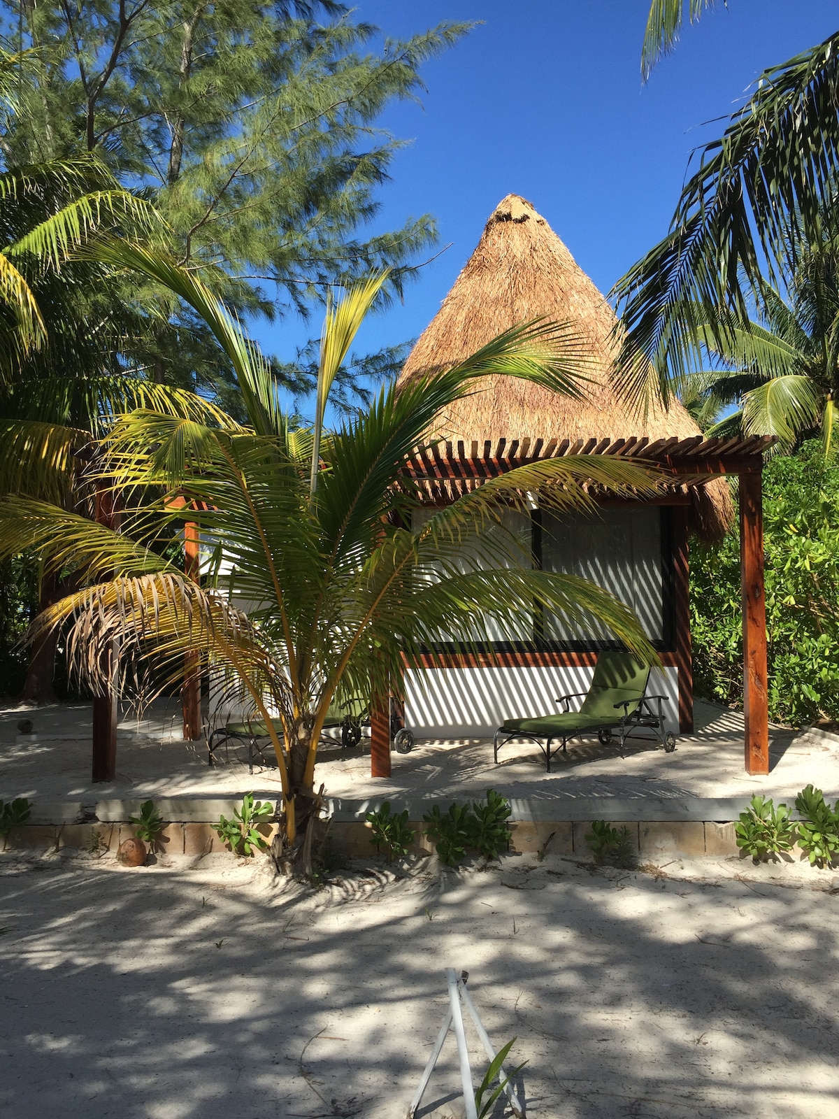 A charming cabin features a thatched roof and is surrounded by lush greenery. A relaxing seating area is visible under a wooden pergola, creating an inviting outdoor space. Light filters through the palm fronds, highlighting the natural setting.
