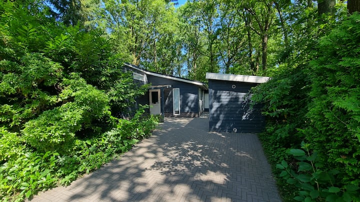 Dotterbloem Chalet | 6 Persons - Assen