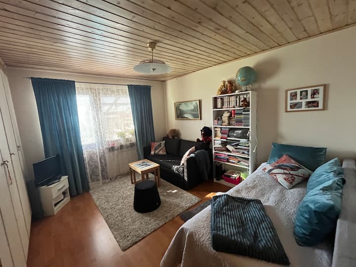 Единечен кревет (90 см) и поедноставен кауч на спуштање широк 120 см.