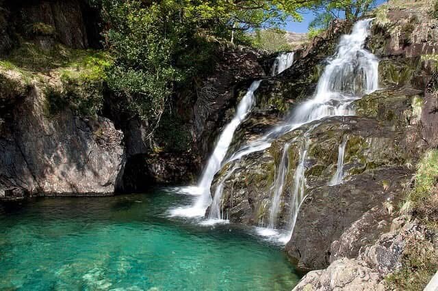 A serene waterfall cascades over smooth rocks into a clear turquoise pool. Lush greenery surrounds the area, creating a peaceful natural setting. Sunlight filters through the trees, enhancing the vibrant colors of the water and vegetation.