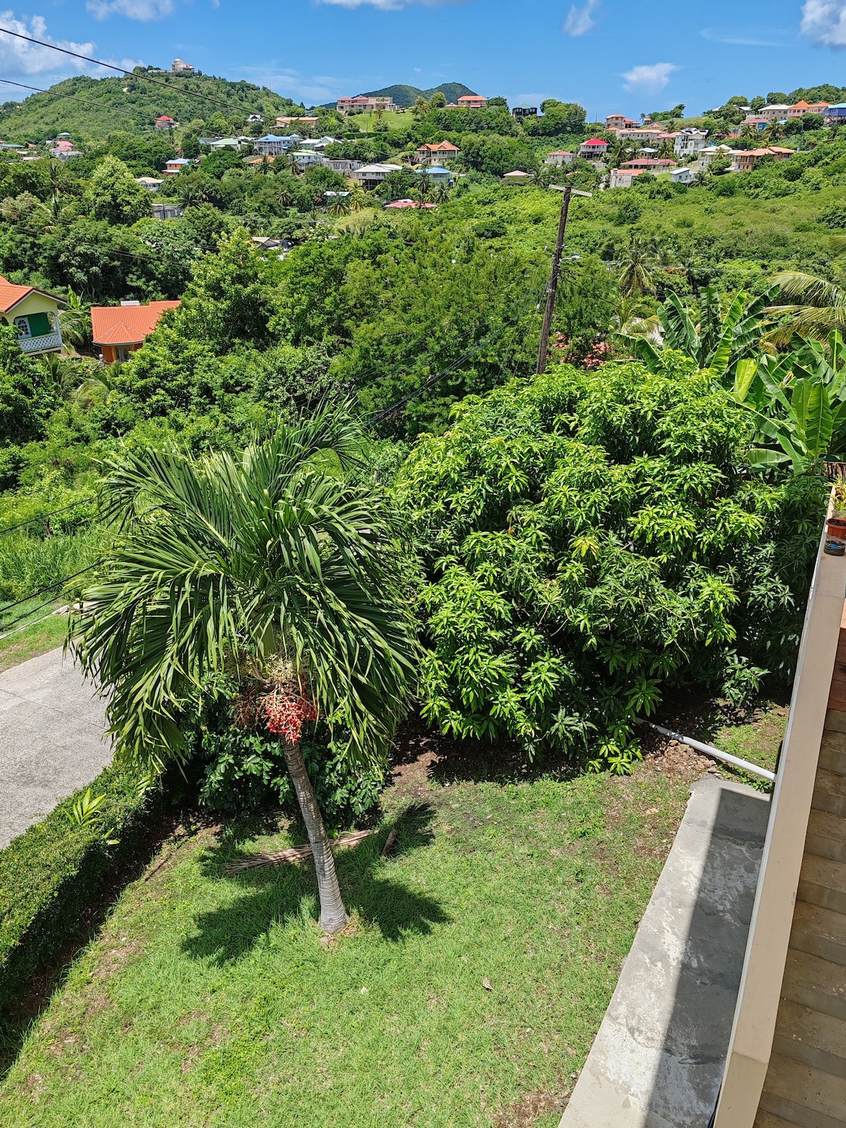 A lush landscape is visible, featuring a prominent palm tree and dense green foliage. The scene includes a winding pathway leading into the vibrant vegetation, with colorful rooftops peeking through the surrounding trees in the background under a clear blue sky.