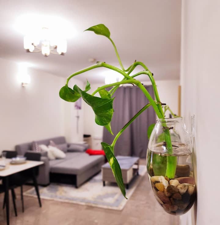 Cuando entras en el apartamento, te reciben estos árboles naturales que cuelgan en la pared para darte una sensación de naturaleza y alegría.