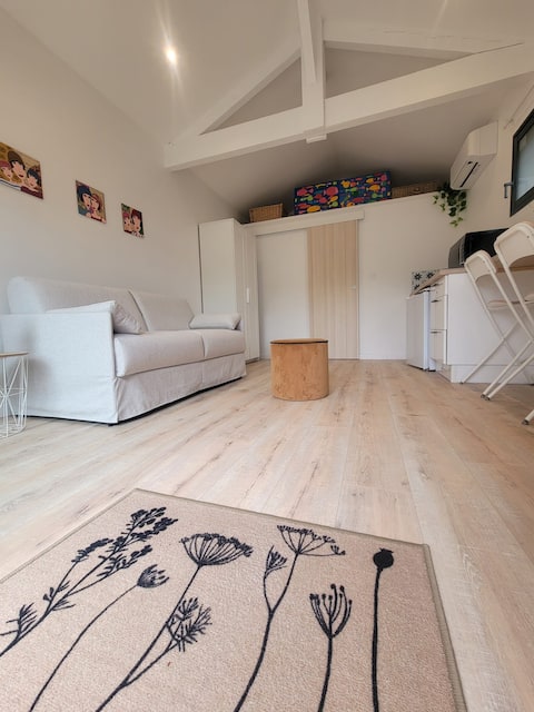 Successful Airbnb property: Air-conditioned studio on the Bassin d'Arcachon in Gujan Mestras