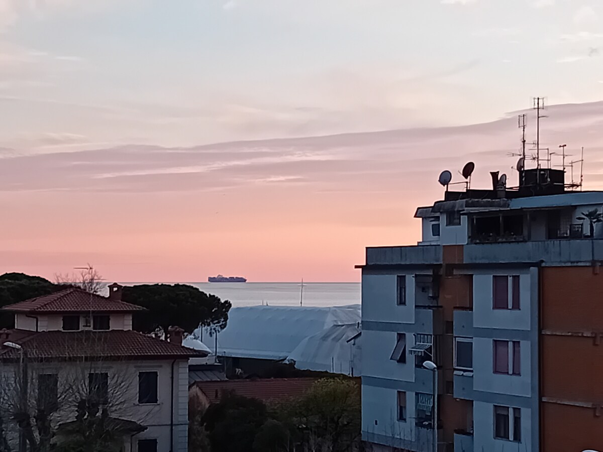 A serene sunset casts soft pink hues across the sky above a calm sea. In the distance, a cargo ship is silhouetted against the horizon. Nearby buildings are visible, showcasing simple architectural lines and a mix of colors.