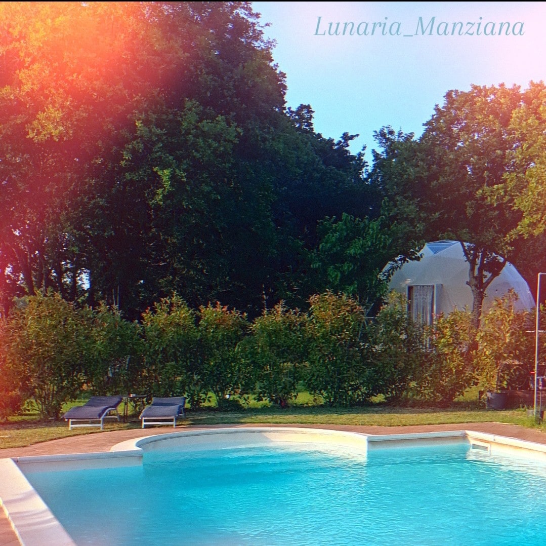 An inviting pool area is surrounded by lush greenery and tall trees. Two lounge chairs are positioned beside the water, offering a space for relaxation. In the background, the geodesic dome can be seen, blending harmoniously with the natural landscape.