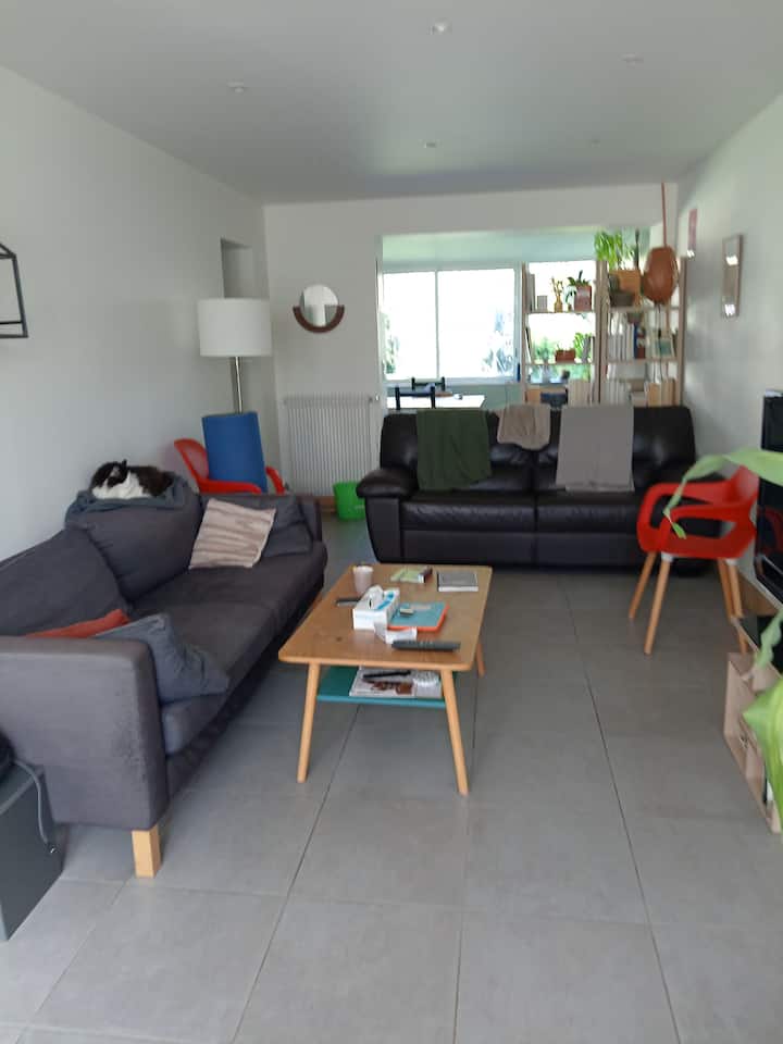 Location Maison Le Mans - Le Mans