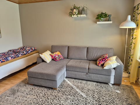 Top performing Airbnb: Townhouse apartment in the city center in Keski Suomi