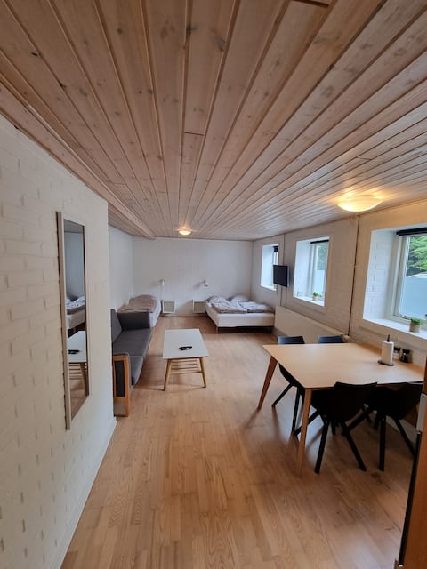 Spacious 1 bedroom apartment.