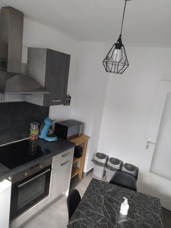 Appartement Studio " Sur La Route Des Vins " - Eguisheim