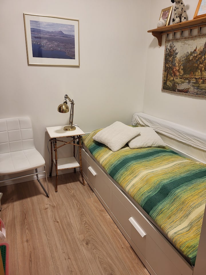 חדר ללא חלונות עם ספה נפתחת לשניים