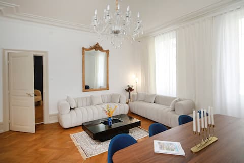 Airbnb performant: The Haussmannian Lynx – Air-conditioned, parking lot, downtown à Colmar