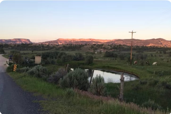 A serene landscape view captures a pond surrounded by lush greenery, with mountains visible in the background during twilight. The scene is adorned with a mix of shrubs and open fields, conveying a sense of tranquility. A narrow road runs along the left side, leading into the distance.