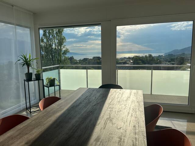 vue panoramique sur le lac Léman avec jardin gallery image 4