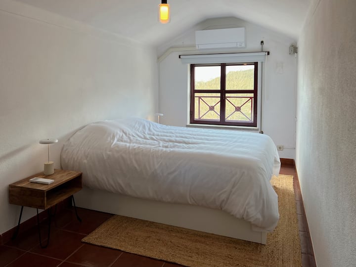 Habitación 1