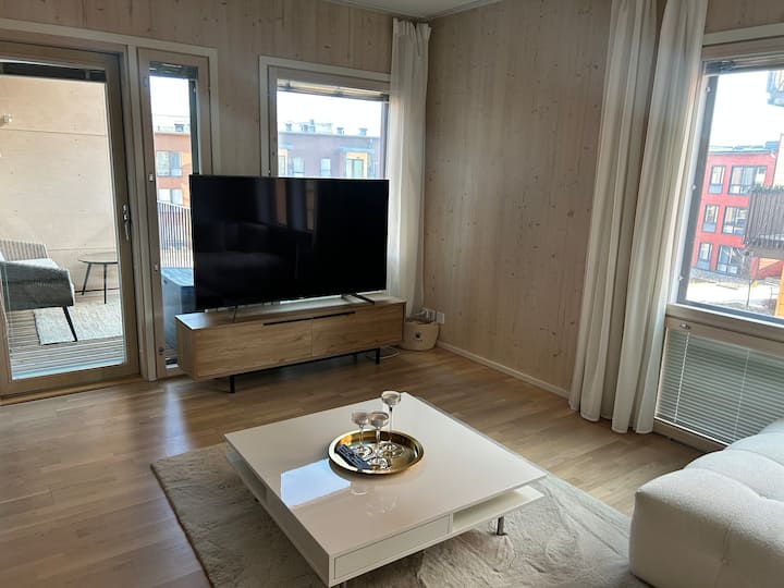 Iso Saunallinen Kaksio Turussa - Turku