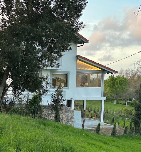 Charming luxury house. The Blue House