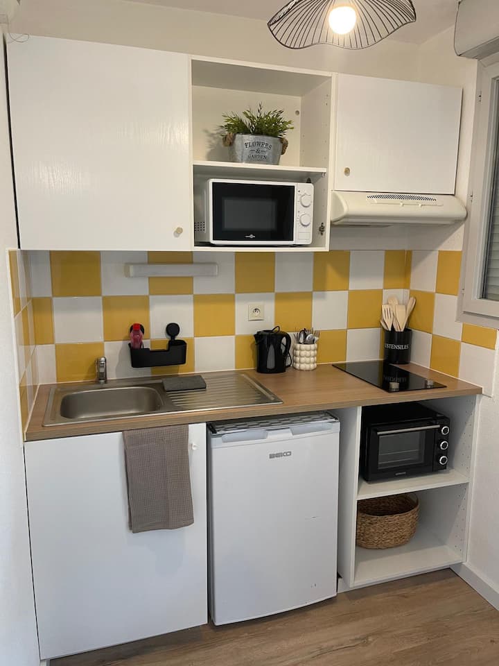 Grand Studio 34m2  Parking/fibre/proche Airbus - Tournefeuille