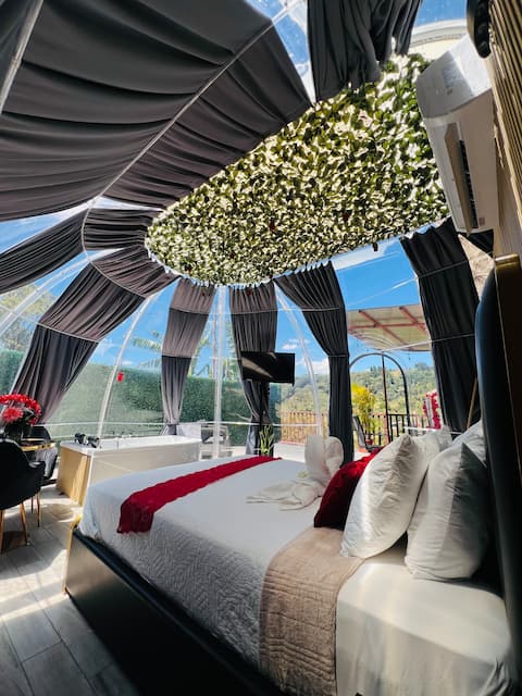 Transparent glamping with sky views