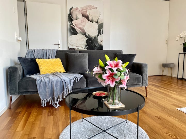 City Views Apartment Am Schaffhauserplatz - Zürich