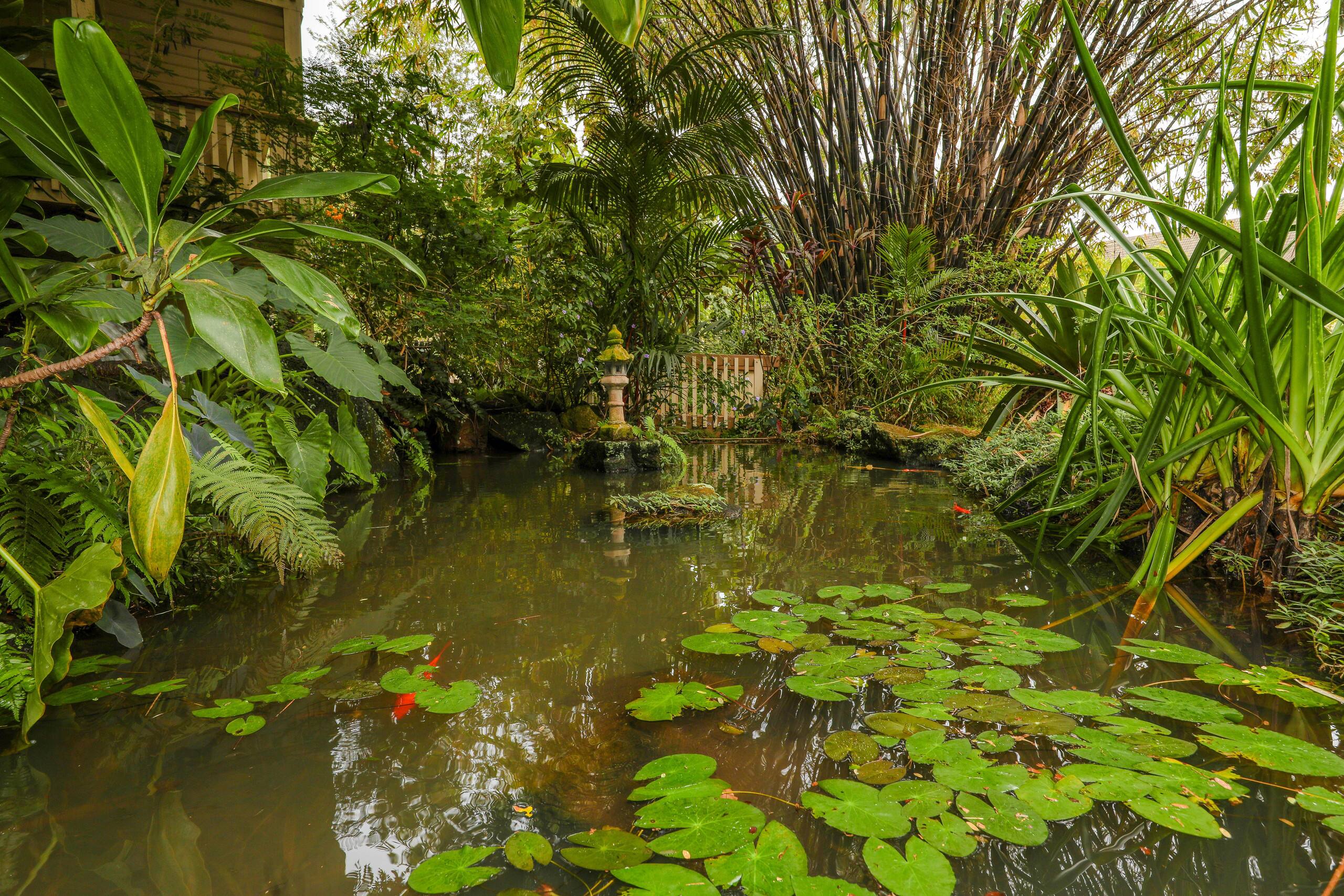 Condo in Koloa · ★4.86 · 1 bedroom · 2 beds · 1 shared bath - Image 23