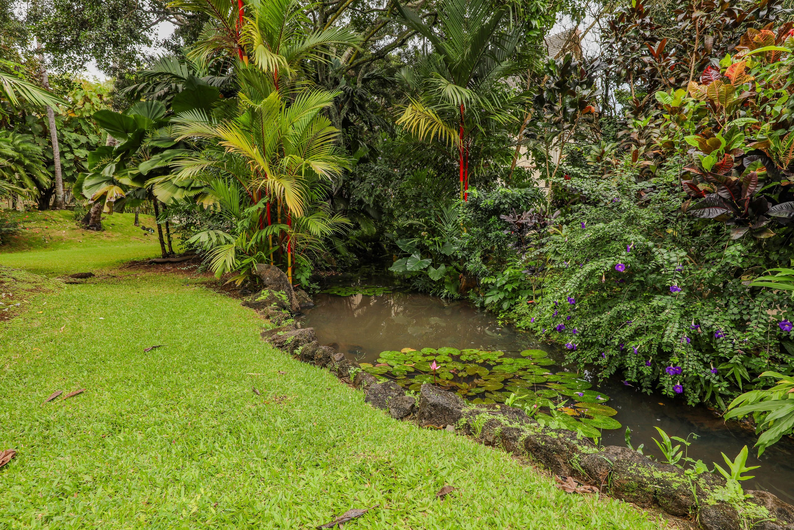 Condo in Koloa · ★4.86 · 1 bedroom · 2 beds · 1 shared bath - Image 24