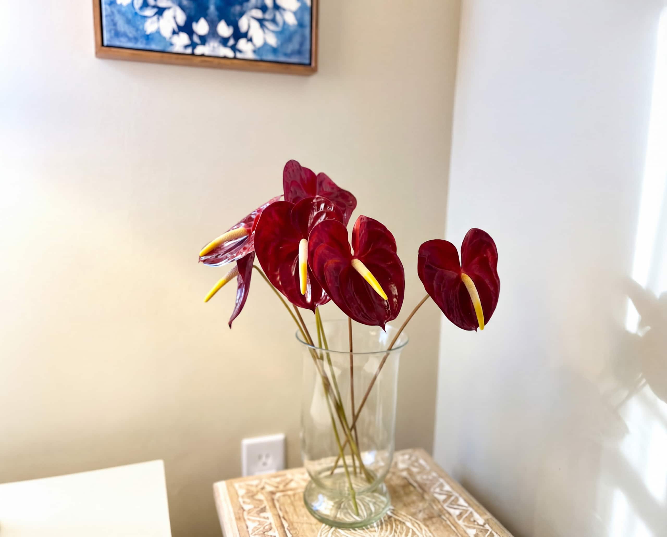Home in Mountain View · ★5.0 · 1 bedroom · 1 bed · 1 shared bath - Image 9