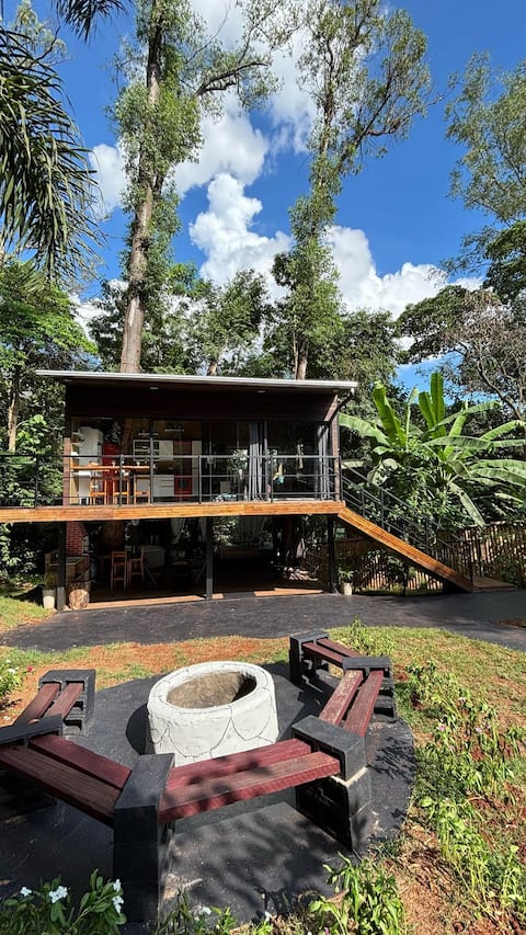 Arapongas Tree House
